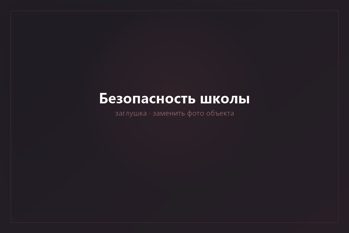 Безопасность школьного комплекса